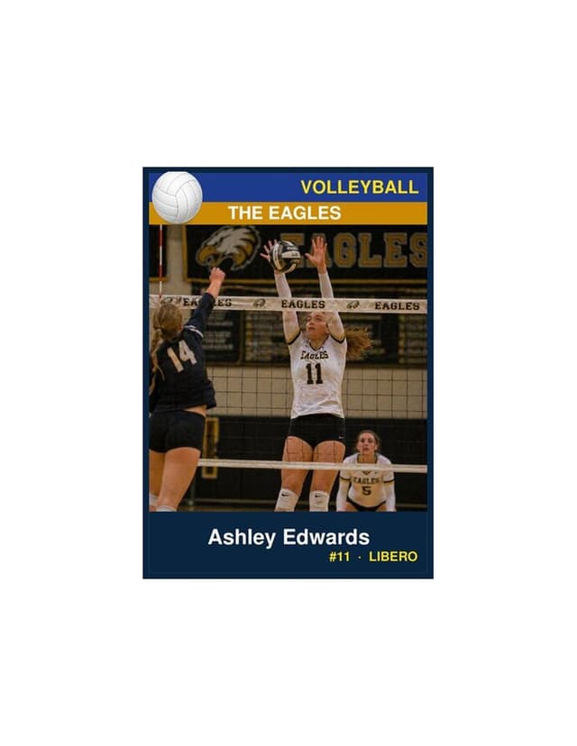 Volleyball card template preview