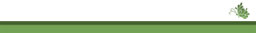Design 1 — Green preview