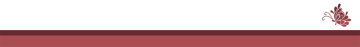 Design 1 — Red preview