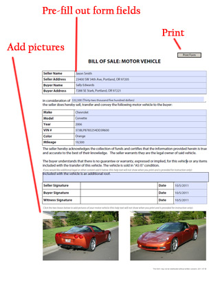 Car Bill of Sale Template example / sample