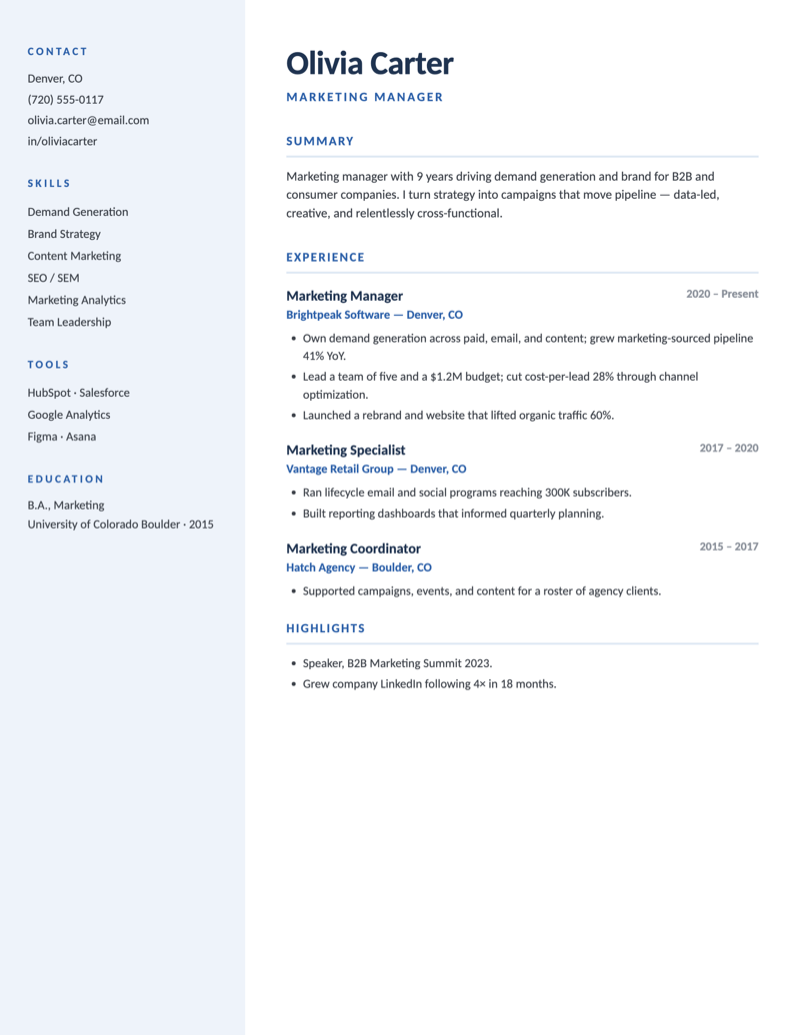 Professional resume template preview